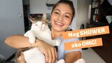 Nag SHOWER AKO With My Cat (BASA LAHAT) | Sheila Snow
