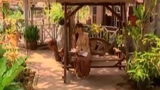 สู่แสงตะวัน 11