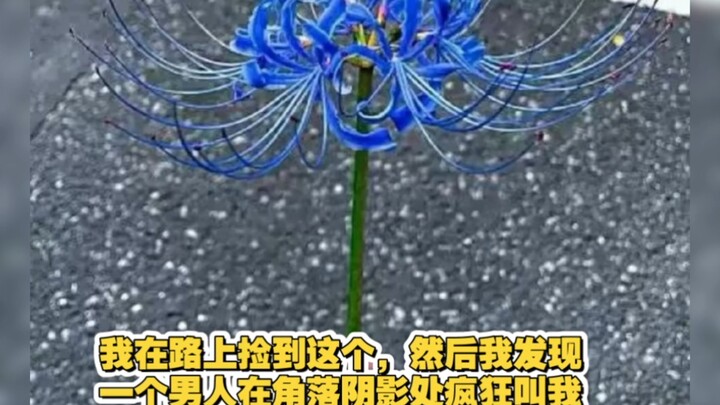 Gặp một người đàn ông kỳ lạ cứ mãi nhìn chằm chằm vào bông hoa này.