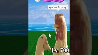 Đừng Bỏ Tui Qua Sea2 Mà #roblox #minhmama #memes #funnyvideos #bloxfruits #shorts #robloxedit