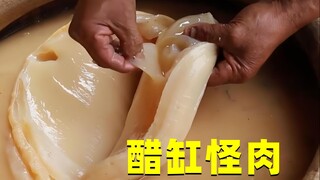 What is this "fat" growing in the old vinegar jar? Is it really edible?
