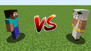 Minecraft Battle: NOOB vs PRO: HEROBRINE VS GOD CHALLENGE / Animation