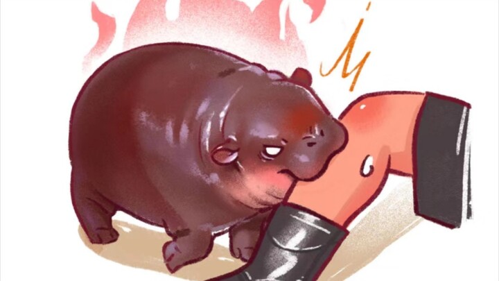 Internet-famous Japanese Hippo Bouncing Pig: You Can’t Understand the Sadness of My Tiny Legs