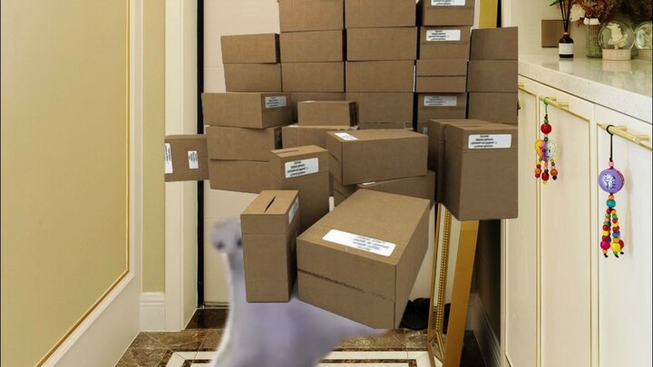 Girls' Various Superpowers!