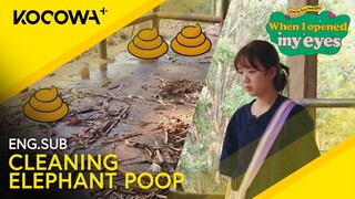 The Next Part Of Her Job: Cleaning Elephant Poop 🐘 | When I Opened My Eyes EP6 | KOCOWA+