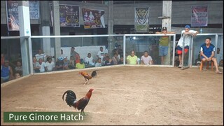 Gilmore Hatch win kahit Nabulag pa