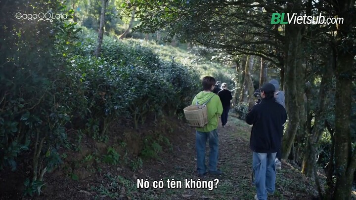 Tập 12 | Hàn Dương Phong Khởi Xuân Sơn Cảnh