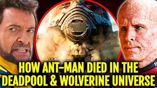 How Did Ant Man Die In Deadpool & Wolverine Universe? Ant Man’s Skull Scene - Explored