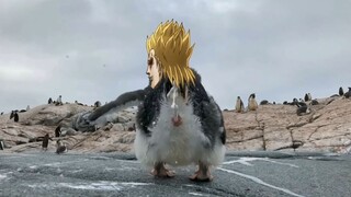 jojo's bizarre adventure penguin version 3