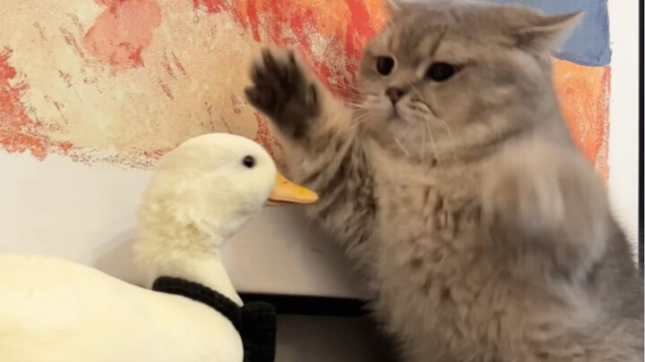 لذيذ: واو، يا ملكة، أنت رائعة جدًا