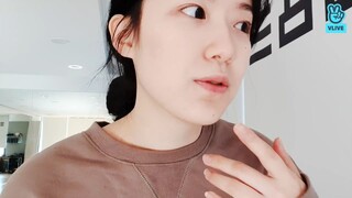 071220 오늘의 늑대