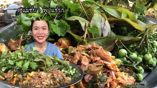 แจ่วกุ้งใส่บักกอก กินกับผักหนอก สะเดา ใบกระโดน ส้มผักบักเขือขื่น แซ่บจนหยุดกินบ่ได้ | แม่ชบา พาแซ่บบ