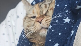 Don't wake me up if there's no food.