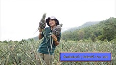 เรื่องเด็ดเอ็ดตะโร  'โน อโนชา' พาเข้าสวนสับปะรดห้วยมุ่น  วันจันทร์ที่ 9 มิ.ย.เวลา 18.00 น