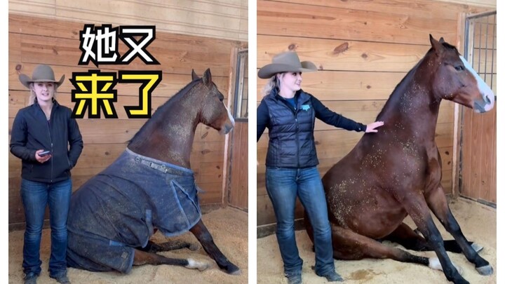 Those heartwarming animal videos!