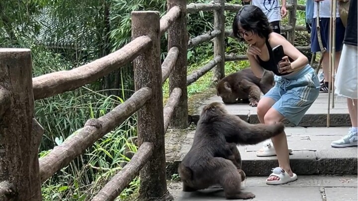 Bảo bạn chào hỏi sao lại sờ chân tôi vậy?