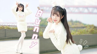 电动马达小兔崽❤Bunny~