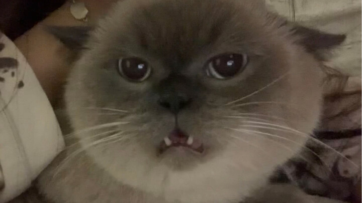 I’m going to gobble you up in one bite.