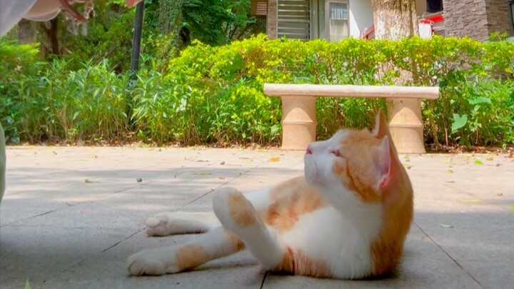 ฉันจะไม่ออกไปเต้นรำในวันที่แบบนี้ เว้นแต่ว่า...