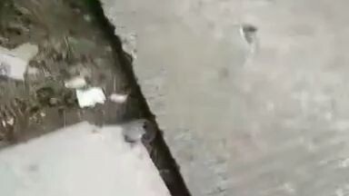 gawang pinoy