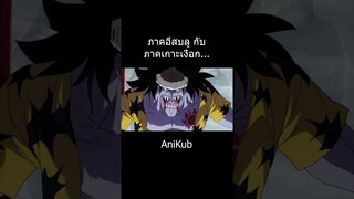 กระจกสะท้อน... | วันพีซ | One Piece