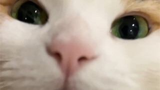 Acak mencium seseorang yang lewat untuk mendapatkan kekayaan