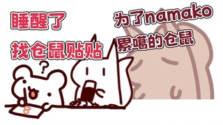 【鼠糖】筹备周年回快累噶了~找仓鼠贴贴顺便毛水喝
