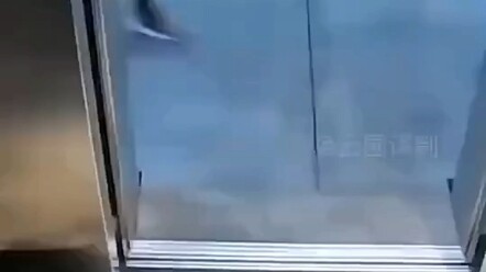 It made me laugh so hard!