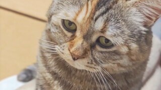 First, I was hungry after my mom fed me, then I was still hungry after my mom fed me