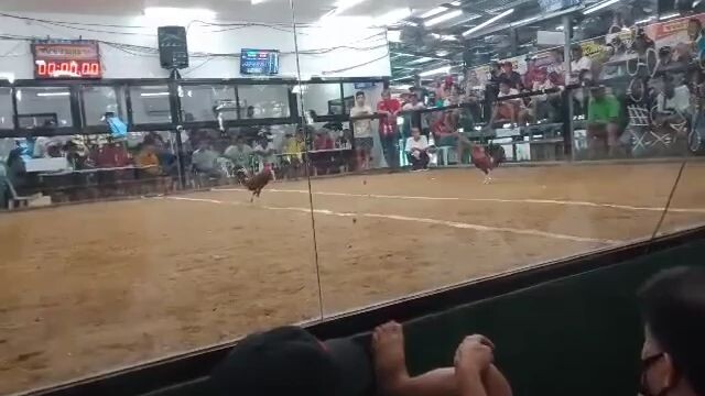 2nd fight sweater kelso dark side champ🏆