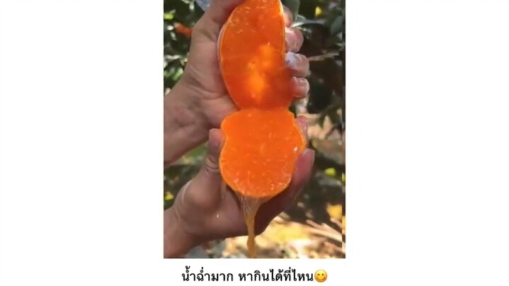 เอามาคั้นแล้วแช่ตู้เย็น ชื่นจายยยย😋