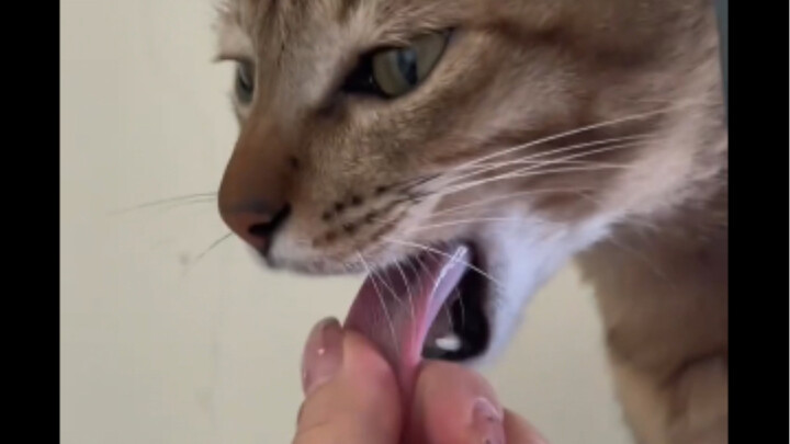 I bet everyone wants to do this.