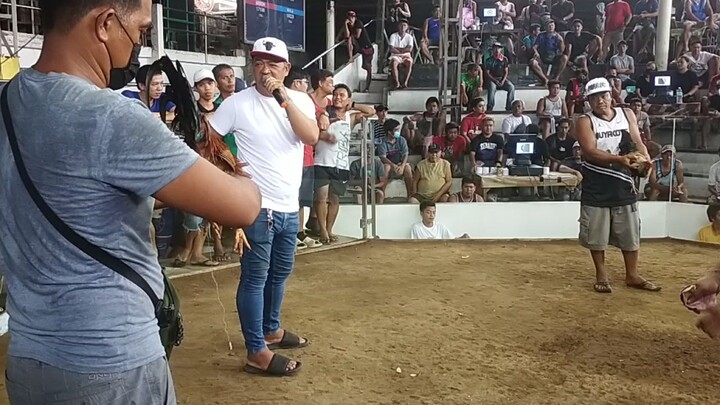 SJDM BULACAN..Tinola naraw ang tagalog namin manok 8months old.maraming baon na tuka