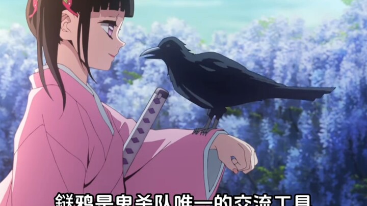 Telinga Zenitsu sangat peka; Tuan Besar sengaja memilih burung pipit yang bersuara pelan untuk Zenit