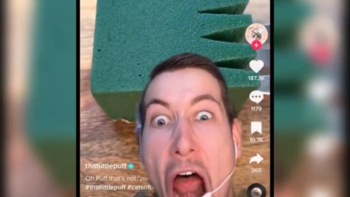 The Most Satisfying Episode