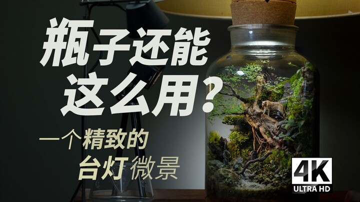 【ธรรมชาติในขวด】ฉันทำมินิไดโอรามาในโหลปิดสนิท แล้วดัดแปลงจุกขวดให้กลายเป็นโคมไฟตั้งโต๊ะ