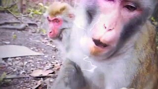 我可一直在忍着呢
