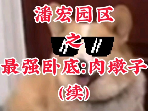 العميل السري الأقوى في حديقة بان هونغ: لحم الدونات (تكملة)