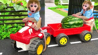 Monkey Baby Bon Bon harvests watermelons in the garden and eats crocodile jelly