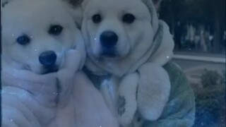 [Ekspansi AI] Penemuan terbesar abad ke-21