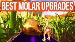 Grounded: Which Milk MOLAR UPGRADES Should You Choose First?