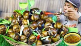 Cooking Snail Recipe - Boil Snail eat with Chili Sauce