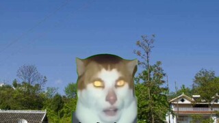 【Cat meme】Pooping broke my defense