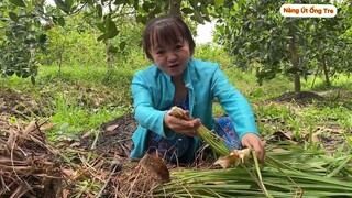 Nàng Út Ống Tre về quê hái trái cây vườn nhà làm món chân gà sốt thái và kết quả