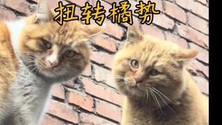 大橘:恩怨改天再说 怎么有鬼？