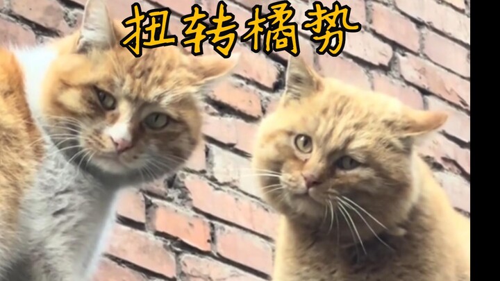 大橘:恩怨改天再说 怎么有鬼？