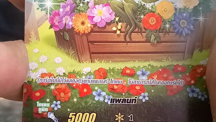 แพลนท์ (โทเค่น)