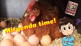 Part 22 | Diary Ng Tropang Probinsyano | Tenrou21