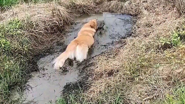 After playing outside all afternoon, my mother said she didn’t want me anymore when I came home.