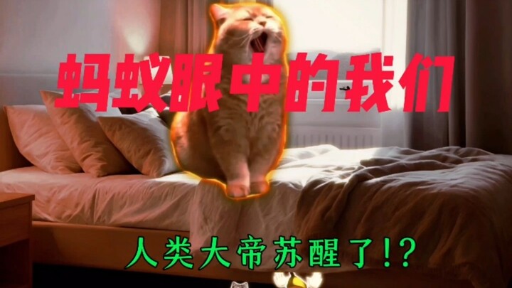 How we see ourselves through the eyes of ants: